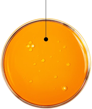 Peptide biomimetico
