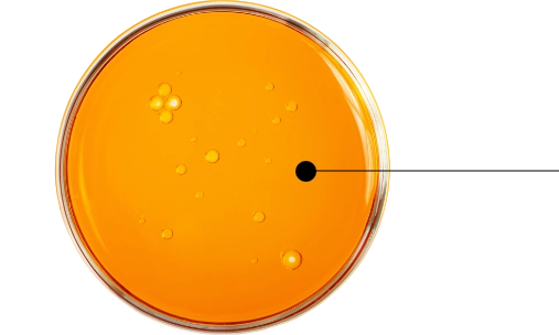 Peptide biomimetico